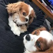 たーのーの画像