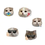 まみの画像