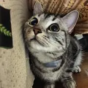 太郎