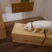 ymの画像