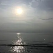 あいぞう