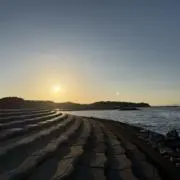 chappyの画像