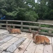 にこ