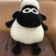 よしちゃんの画像