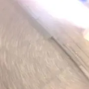 チャピタ