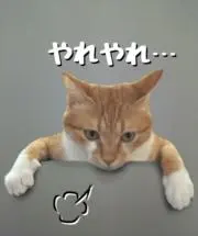 makocatの画像