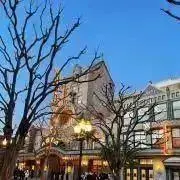 Yの画像