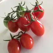 コンリーの画像