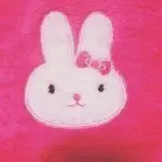 えぬの画像