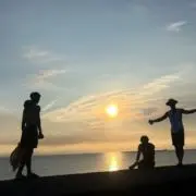 タケ