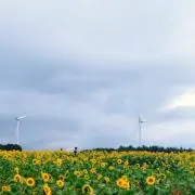 ジェンリー