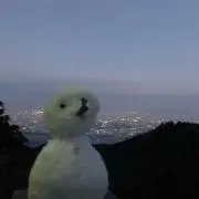 ルーク中邑の画像