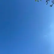 ちゃちゃの画像