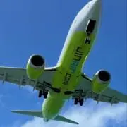 タカ3の画像