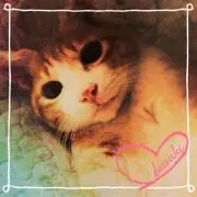 catsmam