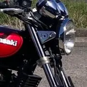 ヒナの画像