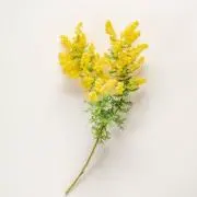 em