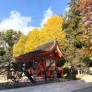 kyoの画像