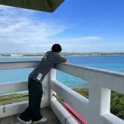 かいの画像