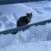 ムクロー