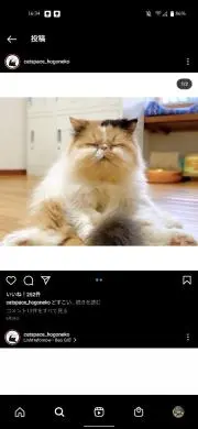 素麺