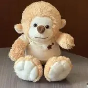 ポッティの画像