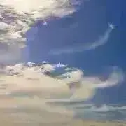 F・断捨離中の画像