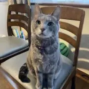 すいか