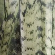 inoの画像