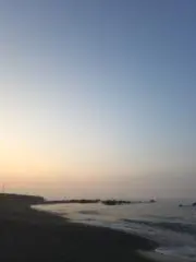 ポイタの画像
