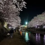 あんやの画像