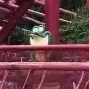 おひなの画像