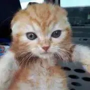 むむむ