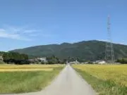 中津川 伊吹の画像