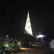 みっちー