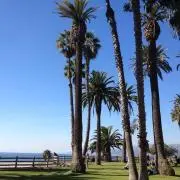 CHIKOELE