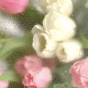 Tomomiの画像