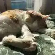 yuyaの画像