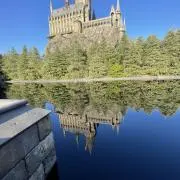 rinの画像