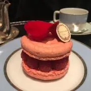 BBの画像