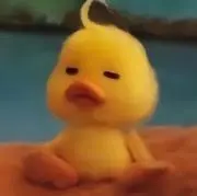 あひるの画像