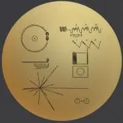 きむぜん