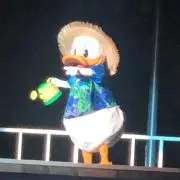 ぽぽの画像