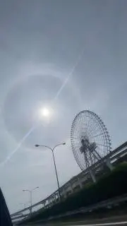 り梨園んの画像
