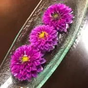 ピーナッツの画像