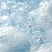 雨粒の画像