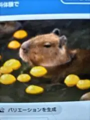 カピバラshop♡フォロー割りあり♡の画像