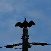 メッシ◆必読自己紹介◆あいさつ不要◆の画像