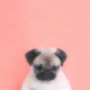 ららら