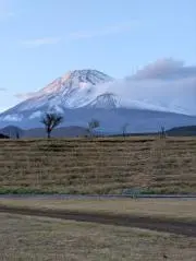 るんたの画像